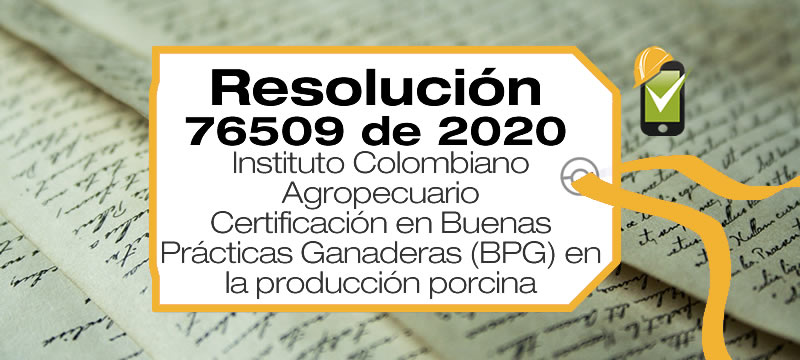 Los requisitos de la Certificación en Buenas Prácticas Ganaderas (BPG) en la producción porcina están en la Resolución 76509 de 2020