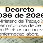 El Decreto 1036 de 2026 incluye la dermatofitosis del pie o tinea pedis dentro de la Tabla de Enfermedades Laborales.